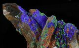 Quartz Crystals With Azurite & Malachite - Spectacular! #38586-2